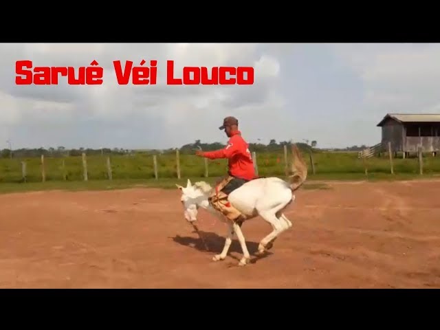 Wikiloc  Ruta Mata Cavalo - Cume P E do Desengano