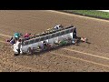 2026 Summer Corgi Nationals Finals