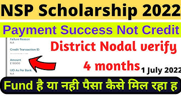😭Payment Success but not Credited in Bank Account | nsp status not update verify by DNO | new update