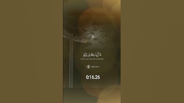 وما خلقت الجن والإنس إلا ليعبدون #تلاوة_خاشعة من #سورة_الذاريات #القارئ #شريف_مصطفى #قرآن #quran