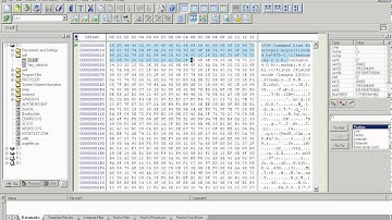 Adobe Reader *.PDF command line execution exploit