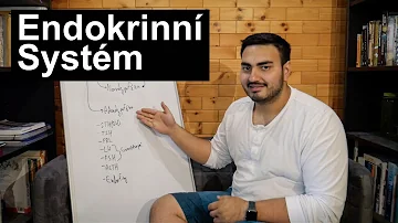 Co může být příčinou zvýšené funkce endokrinních žláz?