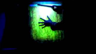 Tableaux phosphorescents & Fluorescent - Recherche Pascal Decaux