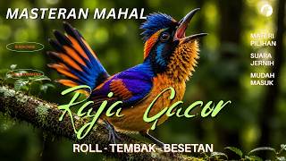 Download lagu MASTERAN MEWAH MATERI ROLL TEMBAKAN BESETAN TAJAM SANGAT COCOK UNTUK MURAI BATU DAN SEGALA BURUNG