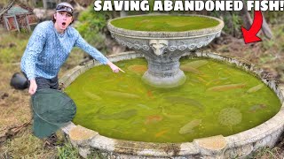 Saving Abandoned AQUARIUM FISH From GREEN SLIME POND!