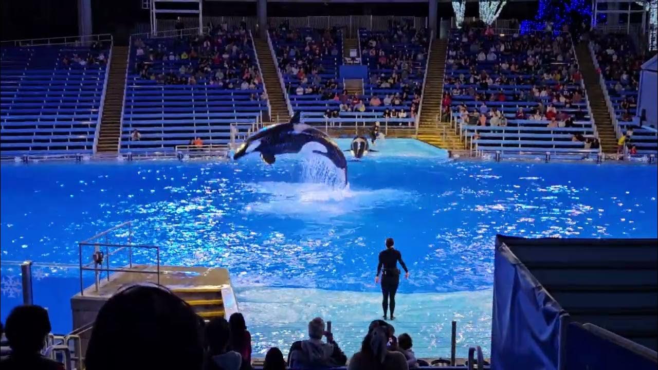 Orca show at San Antonio SeaWorld - YouTube