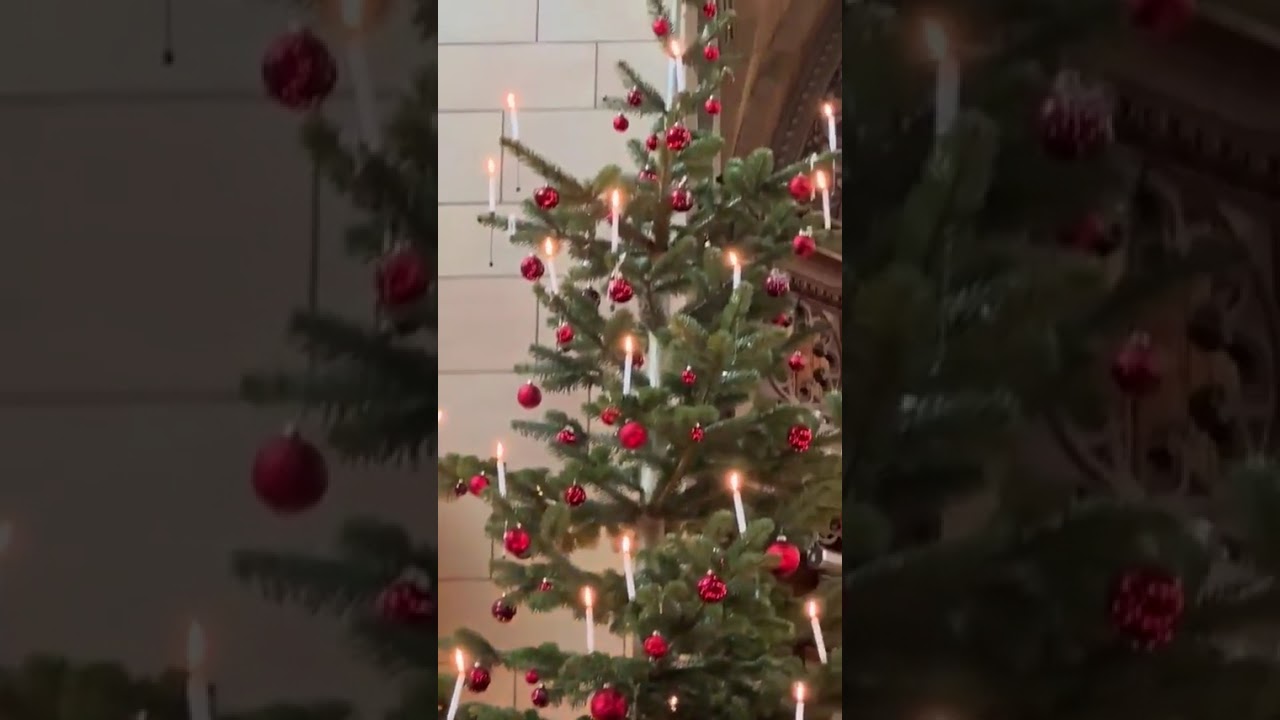 Lighting a Christmas tree with real candles in Switzerland| @sciencepaglu