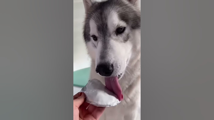 RICETTA del GELATO per CANI e BAMBINI fatto in CASA!😋🍦🐶#dog #cane #food #ricette #dogfood
