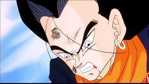 17 fights Cell