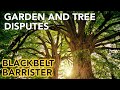 GARDENING LAW DISPUTE and NUISANCE TREES | What you can and can't do | BlackBeltBarrister