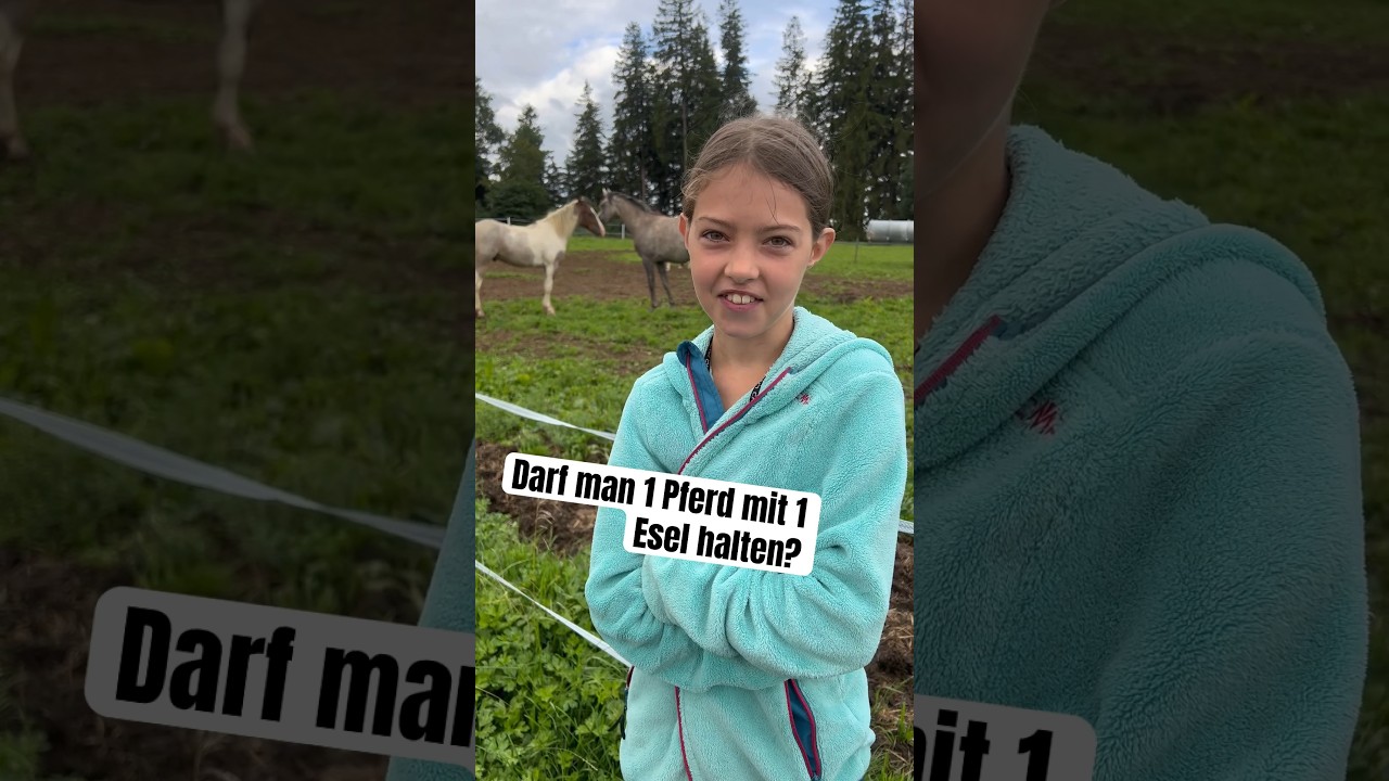 Esel und Pferd zusammen halten? 