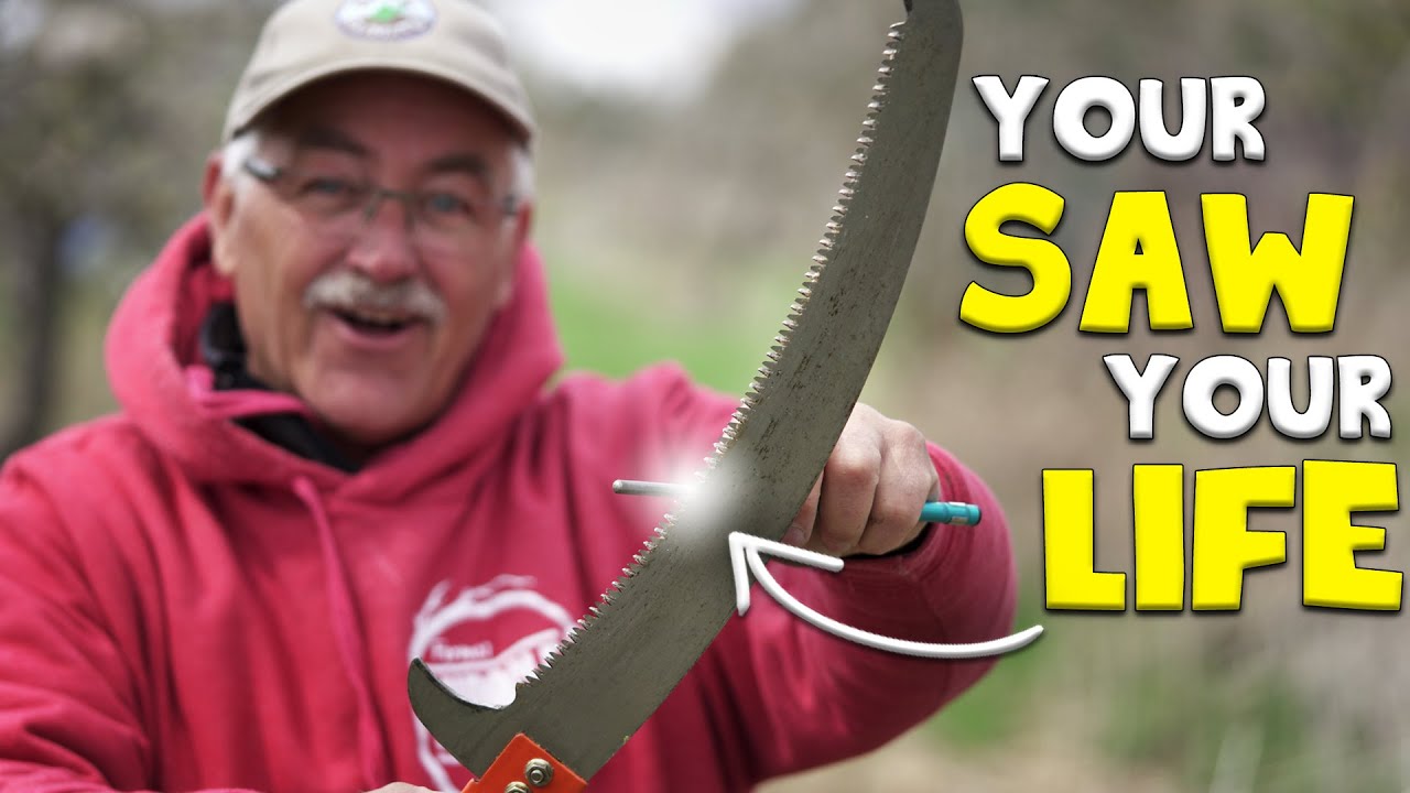 How to SHARPEN a SAW. “Take Time to SHARPEN the SAW”! For your LIFE and  your PRUNING. - YouTube