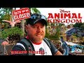 Park Capacity Warning ~ New Years Eve ~ Animal Kingdom ~ Avatar Flight of Passage Finally