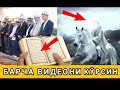 БУНИ БАРЧА КӮРСИН ПАЙҒАМБАРИМИЗ ХАЁТ БӮЛГАНИДА НИМА ҚИЛГАН БӮЛАРДИНГИЗ...