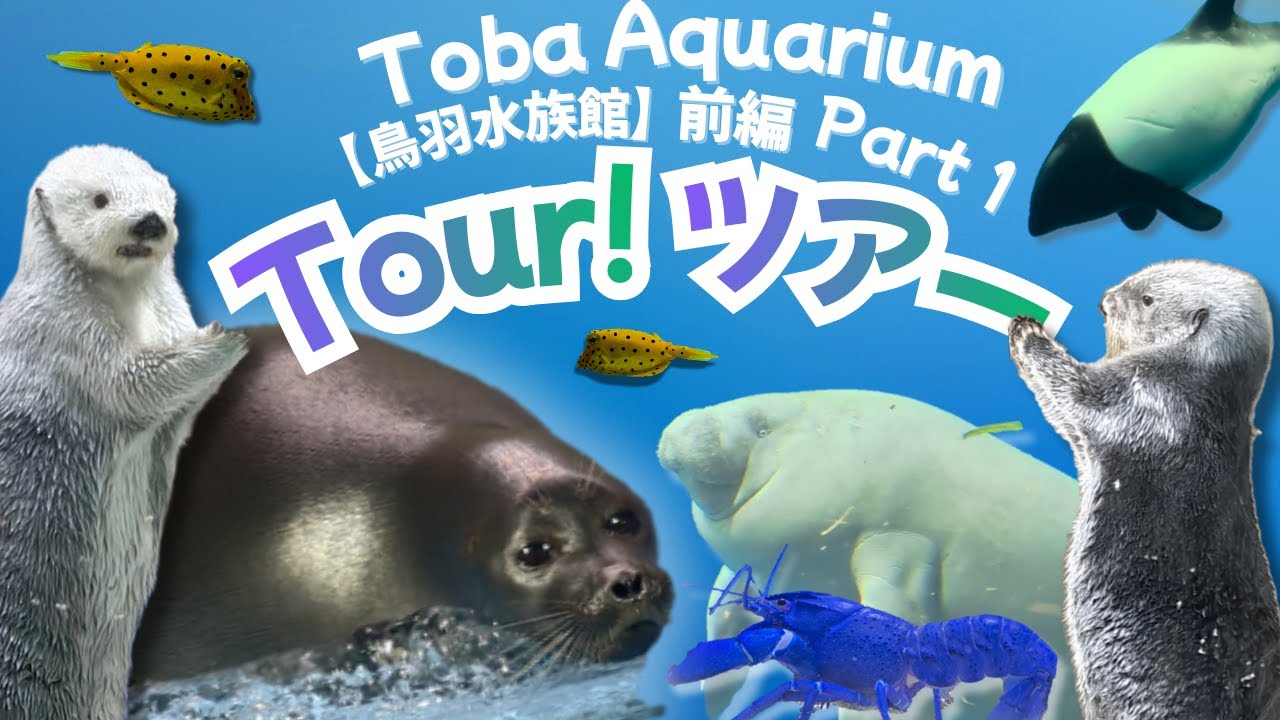 Toba Aquarium Tour Part 1! Featuring Niko, Mei, Kira! 🦭🦦🐟【鳥羽