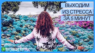 А. Ракицкий. Антистрессовое дыхание. Выходим из стресса за 5 минут. Дыхательная практика. screenshot 1
