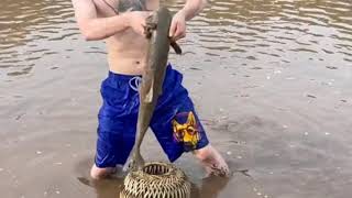 fishing for catfish, catfishing, how to catch catfish from the bank, How to catch catfish#shorts