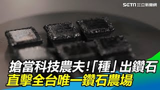 搶當科技農夫！「種」出鑽石　直擊全台唯一鑽石農場｜三立新聞網 SETN.com