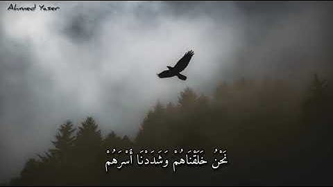 ان هؤلاء يحبون العاجله للقارئ اسلام صبحي