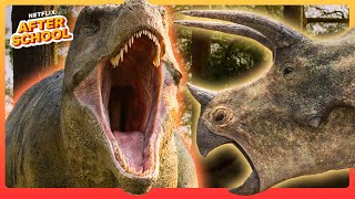 Surviving the Age of Dinosaurs!  Compilation | Life on Our Planet | Netflix After School