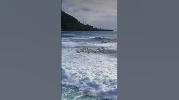 سورة الانبياء _ وما جعلنا لبشر من قبلك الخلد أفإن مت فهم الخالدون