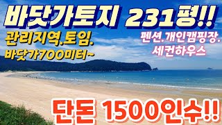 헐값.~청정지역.바닷가.급싼시골집터.단돈1500인수.토임231평.관리지역.전원주택.펜션.농막.컨테이너하우스.개인캠핑장. 차박.텃밭.귀농.귀촌.급매물임장tv 010 2582 8959