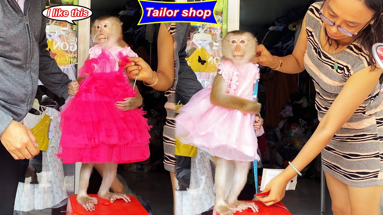 So beautiful! Monkey Lyly was suddenly taken by her mother to have beautiful clothes made.