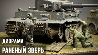 видео:  картинка: