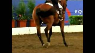 Dressage Born To Be Somebody