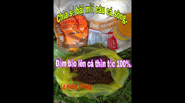 Chia sẻ bài mồi câu cá tra sông -Đảm bảo lên cá thần tốc.