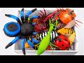 ZURU ROBO ALIVE COLLECTION | UNBOXING RC Ladybug, New Robo Terra Spider creepers Compilation ASMR