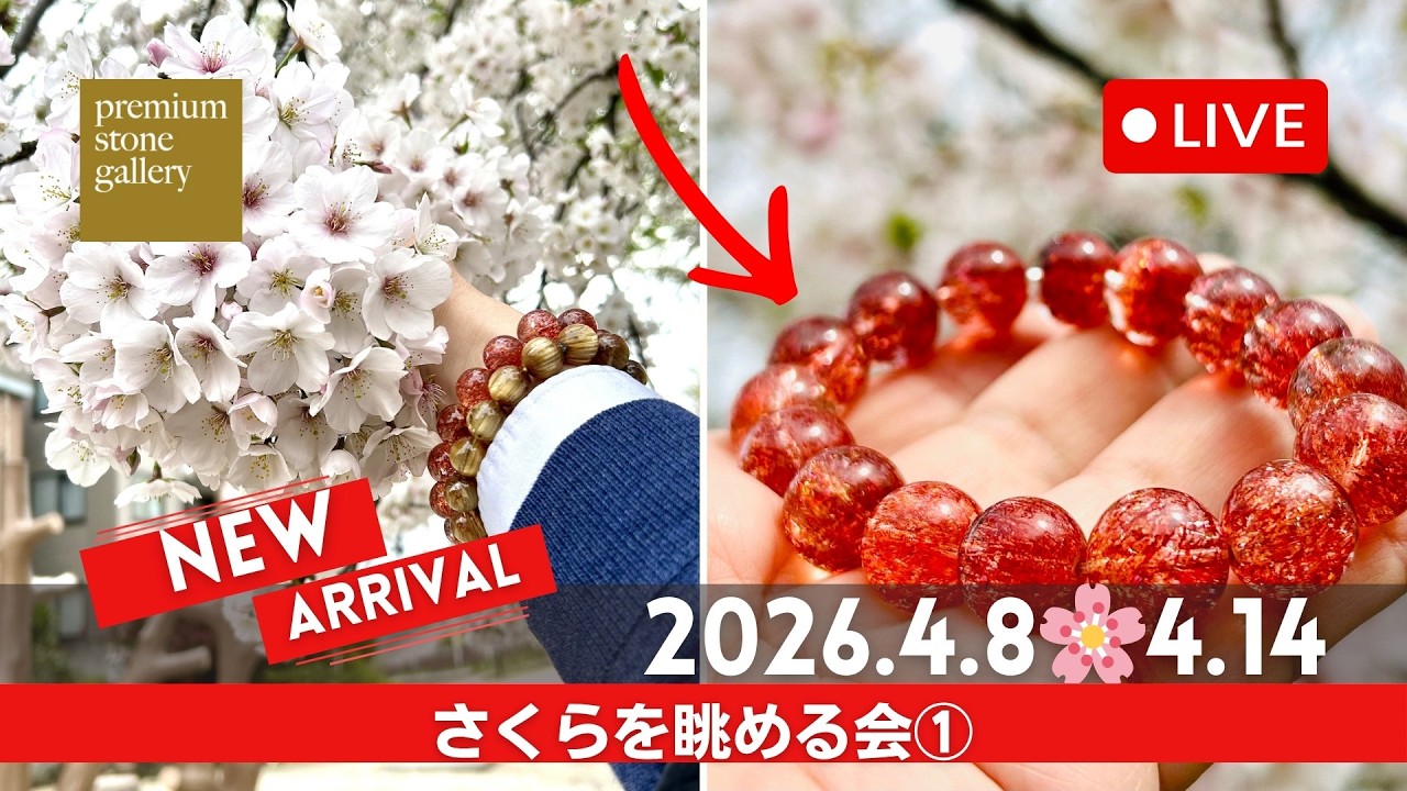 ゼブラタイガーアイたんと水晶、ストロベリークオーツなど！ドガーンとくる！ 本日寅の日！ゼブラタイガーアイ・サンダーボルト来ました｜4月10日新着