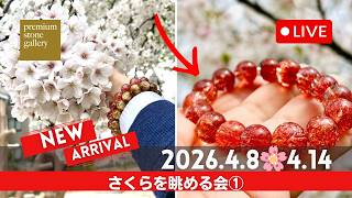 本日寅の日！ゼブラタイガーアイ・サンダーボルト来ました｜4月10日新着