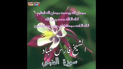 سورة الضحى | الشيخ فارس عباد،، استغفر الله العظيم واتوب اليه ❤️🖤