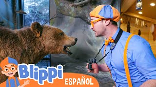 Blippi descubre varios animales | Blippi Español | Videos educativos para niños | Aprende y Juega