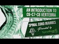 C6, C7, C8 Definitions. Cervical Spinal Cord Injury Symptoms, Causes, Treatments, and Recovery.