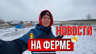 ЧП НА ФЕРМЕ ! БЕЗ ПРОИСШЕСТВИЙ НИКАК / Подарок для нашей Фермы 👨‍🌾 Наше птичье царство 🐥