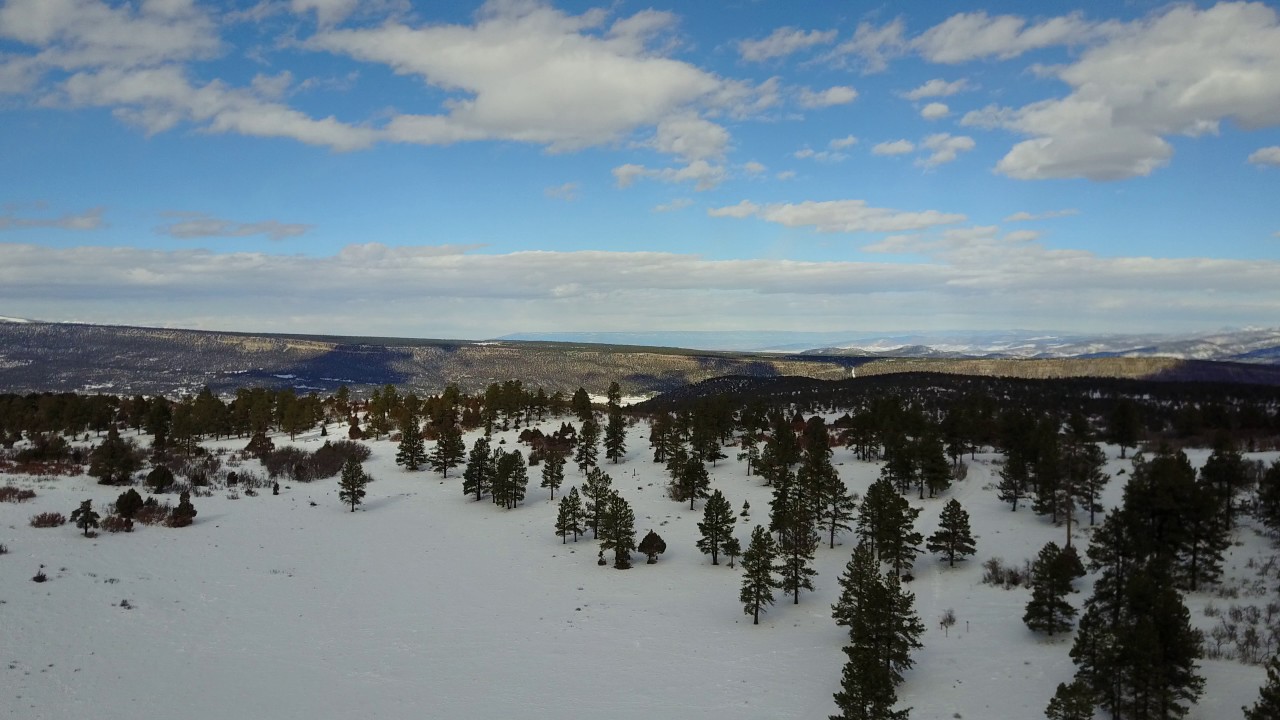 Top of the Pines Ridgway, Colorado flyaround YouTube