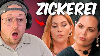 Crashout Bei Den Beautys Nerd Im Discord? Zarbex Reagiert Auf Beauty The Nerd 2026