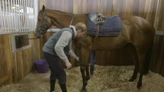 How To Tack Up A Racehorse  #HorseHowTo