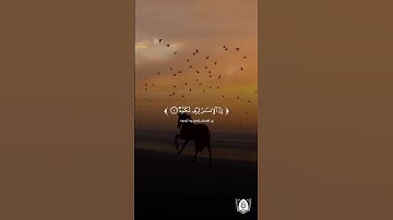 #تلاوة من #سورة_العاديات بصوت #علاء_عقل #قران #قرآن_كريم #آيات #استغفرالله #الحمدلله #quran