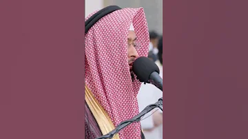 جمال رواية ورش عن نافع الشيخ أحمد النفيس 