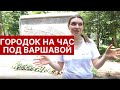 Простая жизнь в Польше/ Podkowa Leśna/ Городок на час/ Куда поехать?