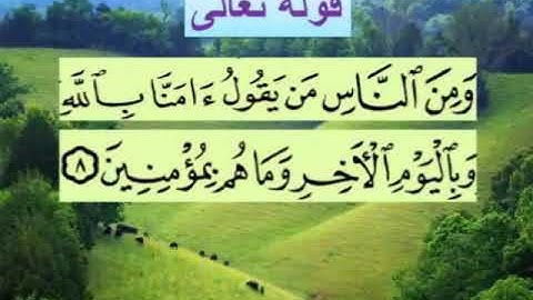سورة البقرة اية ٨ جمال القرش