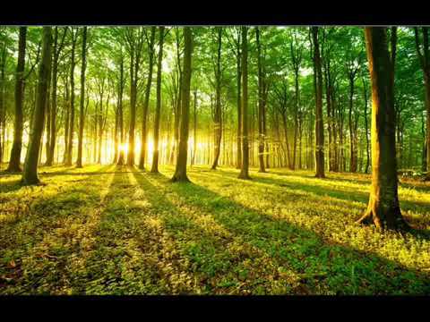 قوڕئان خوێن أنس برق