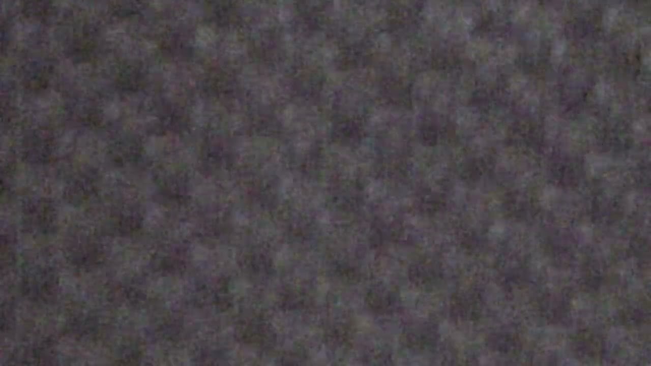 Linger col Basso sei corde