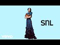 Kacey musgraves  too good to be true live on snl