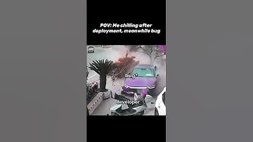 Developer And Bugs video #trending #coding #memecoding #programmerlife #coderush #programmer #memes