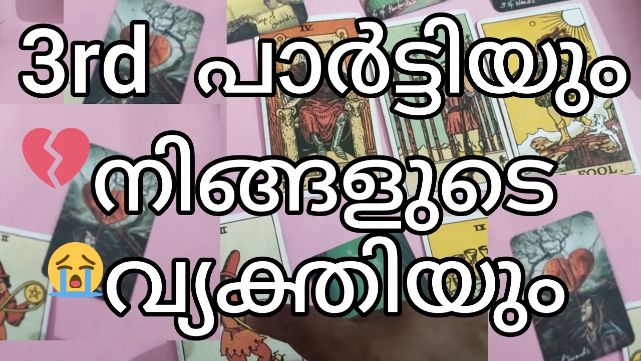 Third party tarot Cards Reading 🤔 Malayalam 💕 Current Feelings Of Your Person 