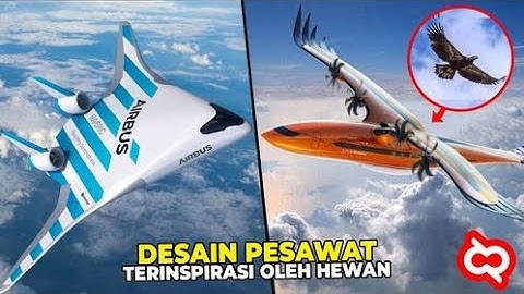 Ketika Insinyur Hebat Unjuk Gigi! Inilah Desain Pesawat Paling Unik di Dunia